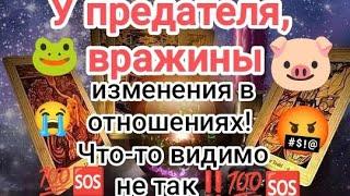 Я В ШОКЕ‼️У ПРЕДАТЕЛЯ, ВРАЖИНЫ ИЗМЕНЕНИЯ В ОТНОШЕНИЯХ‼️ЧТО-ТО ВИДИМО НЕ ТАК#таро #tarot
