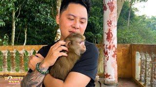 Unexpected happiness! Dad met Monkey Kaka after many days of hardship