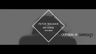 Peter Wagner - No sense (Evva Remix)