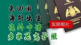 如何"免回国"办多米尼克护照？实际示范新生儿在海外出生后直接领多米尼克护照和欧洲护照。比哥带你了解如何直接在海外申请 #多米尼克护照  #多米尼克 #护照