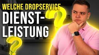 Welche Dropservice Dienstleistung soll ich anbieten?