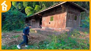 Leaving City ~ Boy Renovating Abandoned Wooden House in forest ~ Clearing and Building Bamboo house