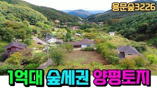 (가격인하 함) 양평용문연수리토지 전원주택,근생,농막가능토지  쉬자파크공원,등산로,계곡도보이용   &  용문숲부동산3226