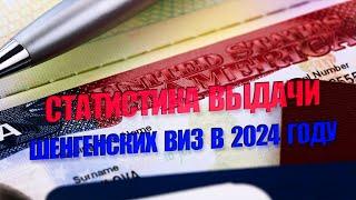Как выдавали шенгенские визы в феврале 2024 года