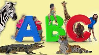 Educational Animal Video for Kids | Alphabet Animals & Sound | Learn ABC Animals  by Atrin and Soren