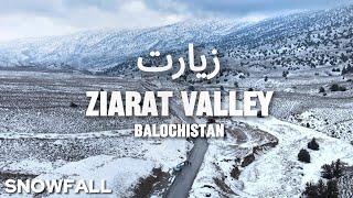 Ziarat, Balochistan | Snowfall Tour in March 2024 |Expedition Pakistan 4K