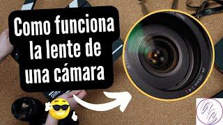 Cinefotografia Como Funcionan los lentes de camara Academia