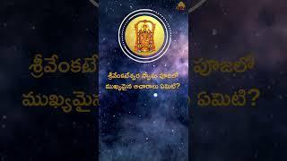 శ్రీవేంకటేశ్వర స్వామి పూజలో ముఖ్యమైన ఆచారాలు ఏమిటి? | Bhakti Songs  #SrinivasaGovinda