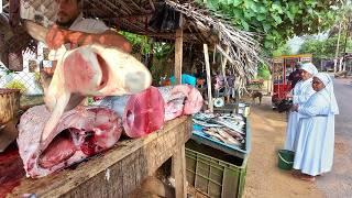 Traditional Fishermen’s Daily Life & Amazing Shark Cutting Techniques