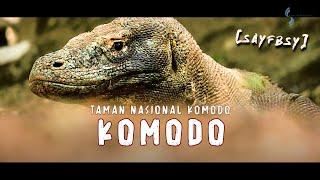 'The Dragon' KOMODO, Pesona dari TAMAN NASIONAL KOMODO