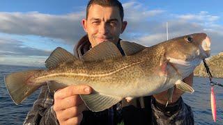 Winter Fishing for Cod, Bass and Pollack with Lures - Sea Fishing UK 2020