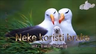 Neke koristi braka -  mr. Emir Demir