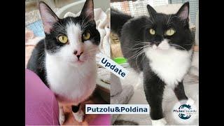 Putzolu und Poldina - Ein Traumpärchen in Schwarz-weiß - Update