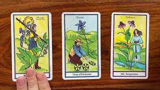 Don’t *believe* your current circumstances 2 December 2020 Daily Tarot Reading with Gregory Scott