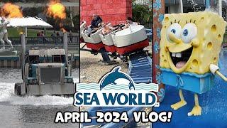 Sea World Gold Coast | April 2024 Park Visit & Update! | Theme Park Video