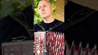 «Тихая деревня» исполняет автор Александр Левкин #гармонь