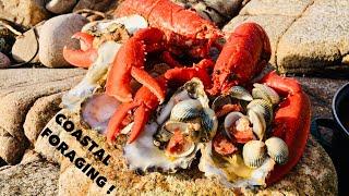 Coastal Foraging / Oysters , Lobsters and Clams / Cook Up On The Beach !