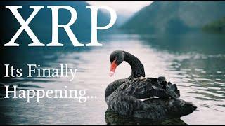 ️*EXTREME WARNING: This Is The LAST CHANCE To Buy XRP CHEAP | All ANALYSTS Agree*️