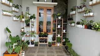 Display Tanaman Hias di Carpot Perumahan Minimalis | Zea Garden #rumahidaman