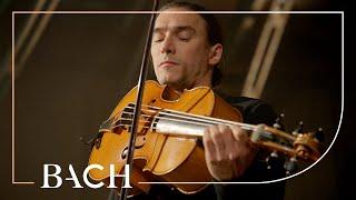 Bach - Cello Suite no. 6 in D major BWV 1012 - Malov | Netherlands Bach Society