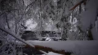 Snow Fall In New Hampshire