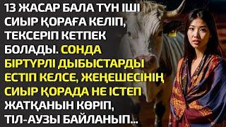 13 ЖАСАР БАЛА ТҮНДЕ СИЫР ҚОРАҒА КЕЛІП ТЕКСЕРІП КЕТПЕК БОЛАДЫ. СОНДА БІРТҮРЛІ ДЫБЫСТАР. ӘСЕРЛІ ӘҢГІМЕ