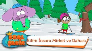 Bilim İnsanı Mirket ve Dahası - Kral Şakir