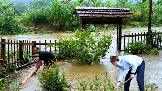 Farm flooded with water - overcoming consequences after natural disasters | Lý Mai Farmer