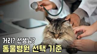 어떤 동물병원이 좋은 동물병원 일까?