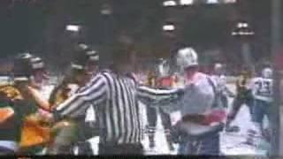 Mario Lemieux Fights