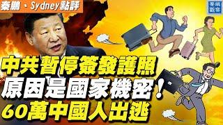 封鎖國門，中共移民局：暫不簽發普通護照等出入境證件；習近平執政十年，60多萬中國人逃離大陸，在他國申請庇護【#秦鵬觀察 8/4】| #新唐人電視台