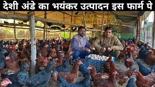 नौकरी जाने पर शहर छोड़ गांव में आकर शुरू किया Desi Poultry Farm | Desi Egg Farming Business