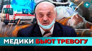 Кошмар водителей: новая угроза на границе! Хуже гриппа: какой вирус накрыл Беларусь? // Новости