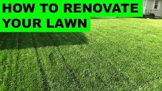 How to Renovate Your Lawn - Complete Lawn Renovation Steps, Start to Finish