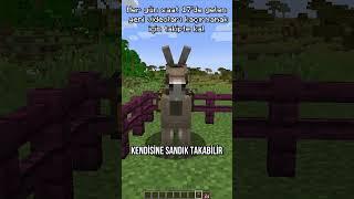 Minecraft Hakkında Bilmediğiniz Bilgiler #2