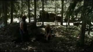 Tucker & Dale vs Evil, 2010