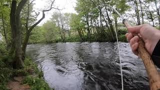 SEATROUT FISHING | River Nairn | cracking seatrout 2021