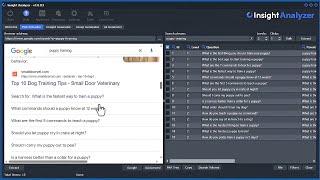 Extracting questions from Google and how to use the PAA Question Tree tool | Insight Analyzer