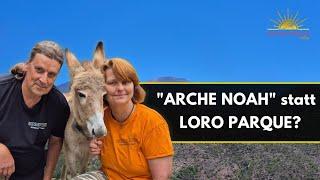 Die Alternative zum Loro Parque, die -en von Tierschutzfreunden höher schlagen lässt! #insidertipps