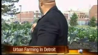 Urban Farming