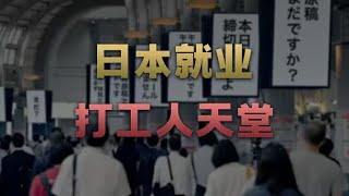 日本就业成公司变舔狗，本科抢着要，高中不放过，日本就业人的天堂【爱德华说】#财经 #经济 #商业 #就业