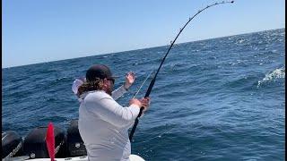 Yellowfin Tuna Fishing with VooDoo Charters in Venice, LA