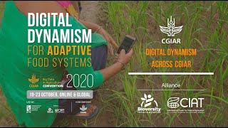 A glimpse of Digital Dynamism across CGIAR: Alliance of Bioversity International and CIAT