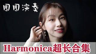 口琴harmonica演奏歌曲合集，小姐姐倾情献奏，一次听过瘾！【吹口琴的小园园】