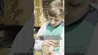 Як на Черкащині вирощують кролів #life #черкащина #shorts #кролик #кролики