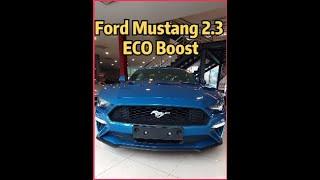 Ford Mustang 2.3 Ecoboost 一起来看看！|Binnbinn.com