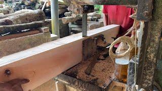 Crafting Excellence:  Precision Sawmilling of High Value Mahogany Wood!