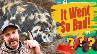 Hog Wrangling Gone WRONG!!! Plus Picking Up A Big Surprise.