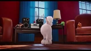 The Secret Life of Pets - Heavy Metal Dog 2 (Clip)