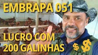 EMBRAPA 05I. QUANTO PRETENDEMOS LUCRAR COM 200 AVES #criacaodegalinhas #galinhacaipira